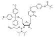 O4-(p-tolyl pivalate)-5'-DMT-2’-OMe-U Phosphoramid